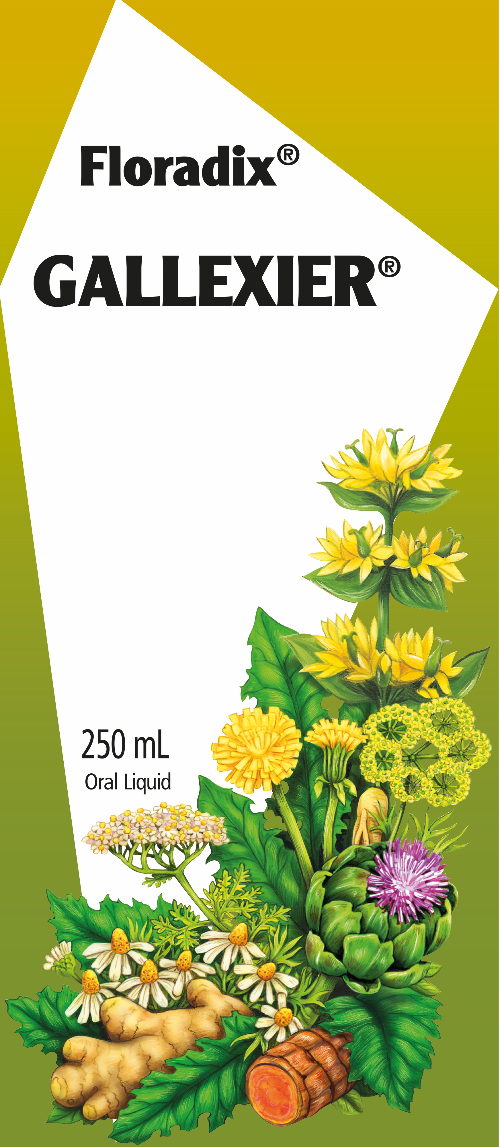 Floradix-gallexier-appetiser-digestive-aid-250ml