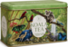 Kt35-6_koala_tea_tin_rainforest__green_tin__25_bags_thumb