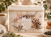 Kt16-6_koala_tea_tin_forest__cream_tin__25_bags_-_aesthetic_thumb